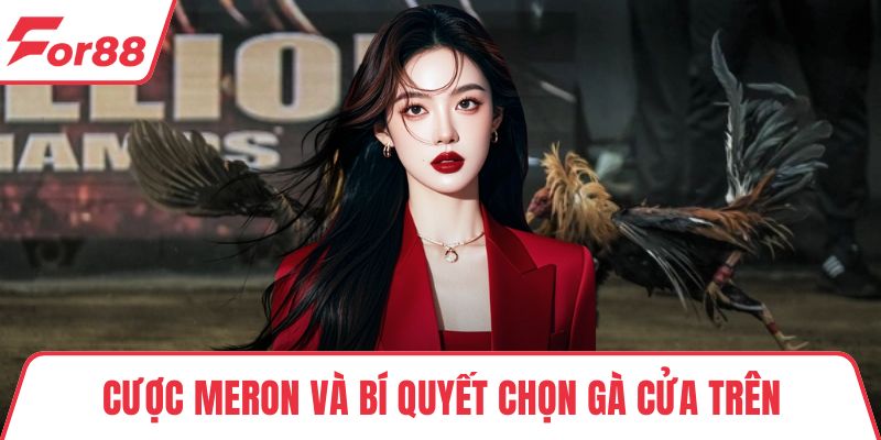 Cược Meron và bí quyết chọn gà cửa trên