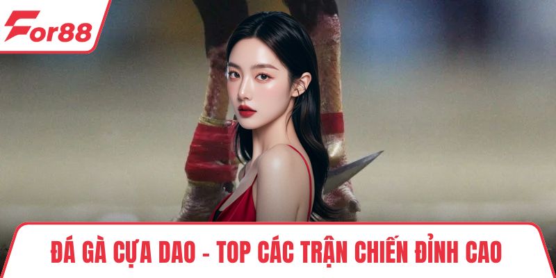 Đá Gà Cựa Dao - Top Các Trận Chiến Đỉnh Cao Trên Sới Đấu