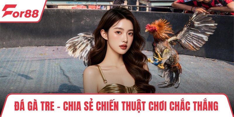 Đá Gà Tre - Chia Sẻ Chiến Thuật Chơi Chắc Thắng Từ Cao Thủ