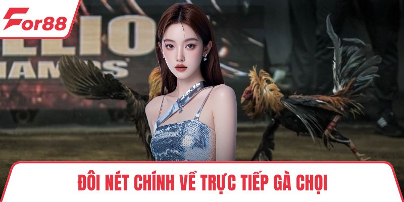 Đôi nét chính về trực tiếp gà chọi