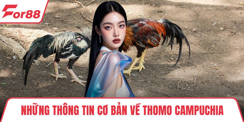 Những thông tin cơ bản về Thomo Campuchia