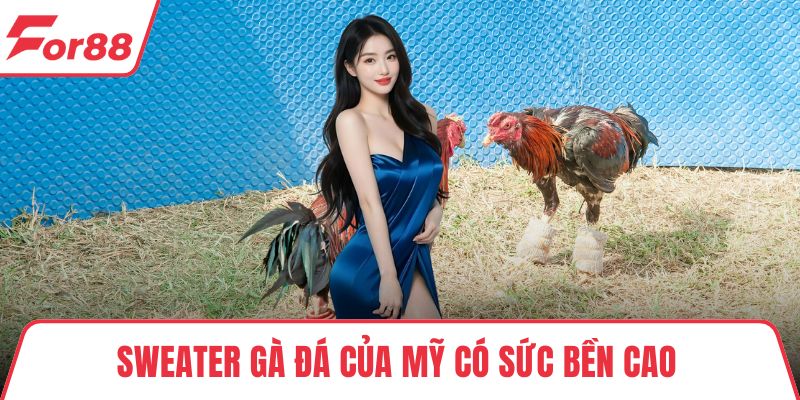 Sweater gà đá của Mỹ có sức bền cao 