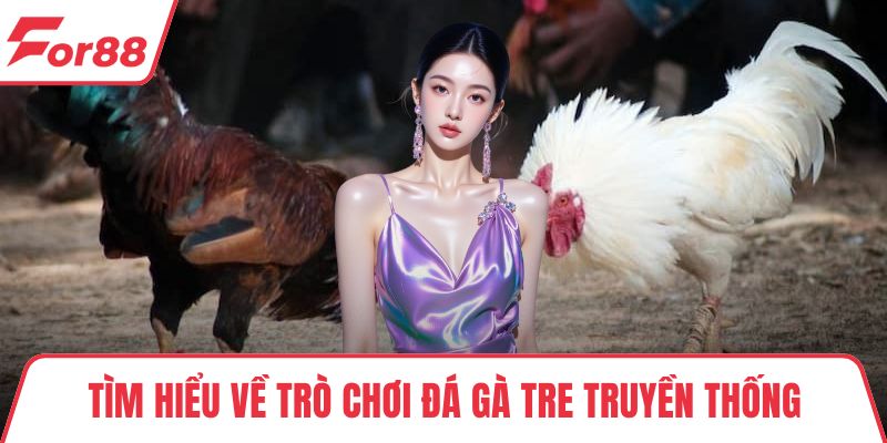 Tìm hiểu về trò chơi đá gà tre truyền thống